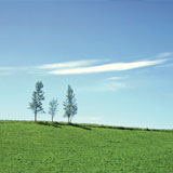 Rainwater Harvesting Related Images